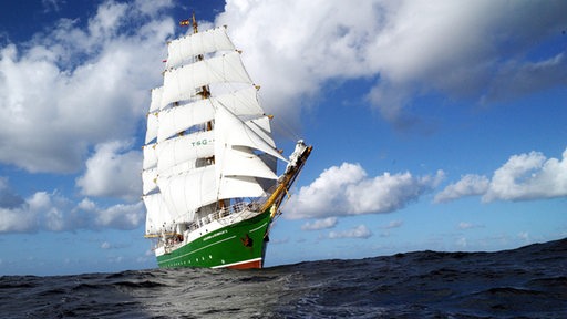 Alexander von Humboldt II