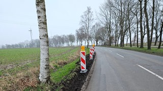 An einer Landstraße stehen Baustellenbaken neben der Fahrbahn.