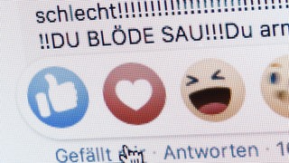 "Du blöde Sau" hat jemand auf Facebook kommentiert.