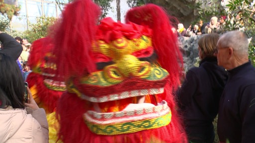 Personen mit Kostümen beim Neujahrsfest in der Botanika.