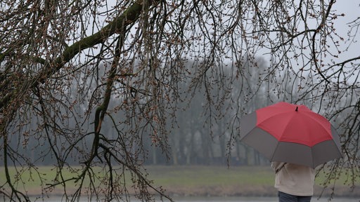 Eine Frau mit einem Regenschirm steht unter einem Baum und schaut auf einen See