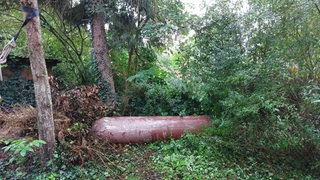 Eine Druckluftflasche liegt im Gebüsch.