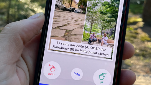 Eine Hand hält ein Smartphone mit zwei Fotos.