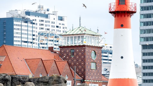 Möwen fliegen bei trübem Wetter über dem Zoo am Meer und der Strandhalle. Im Hintergrund ist das Columbus Center zu erkennen. 