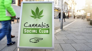 Aufsteller mit Hanfblatt und Aufschrift Cannabis Social Club