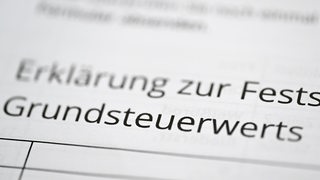 Formular zur Angabe des Grundsteuerwerts für die Grundsteuer