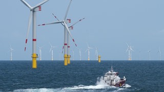 Ein Boot fährt vor Windkraftanlagen im Meer.