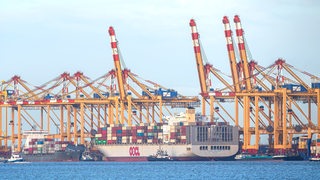 Ein Containerschiff liegt vor Kränen an einer Kaje.