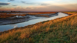 Naturschutzgebiet Langwarder Groden in Butjadingen