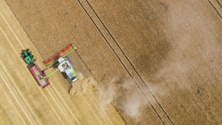 Ein Mähdrescher erntet ein Kornfeld ab