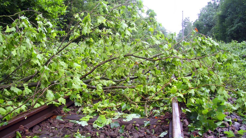 Ein umgestürzter Baum blockiert eine Strecke der Deutschen Bahn (Archivbild).