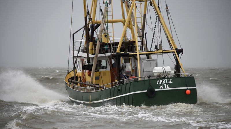 Ein Fischkutter fährt über die stürmische Nordsee