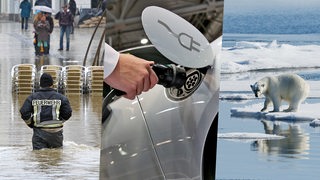 Bildmontage: Ein Feuerwehrmann steht bis zur Hüfte im Hochwasser, ein Elektroauto wird geladen und ein Eisbär blickt auf seine Spiegelung auf dem aufgetauten Wasser.