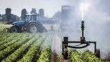 Ein Bauer bewässert seinen Kartoffelacker