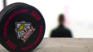 Ein Eishockeypuck mit Fishtown beschriftung.