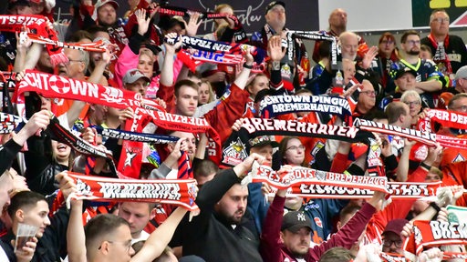 Fans der Fischtown Pinguins feiern ihr Team.