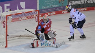 Maximilian Franzreb hütet das Tor der Fischtown Pinguins.