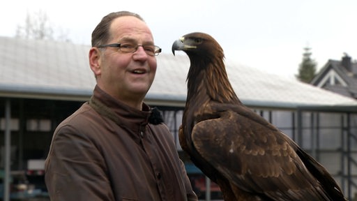 Falkner Robert Wagner hat einen Steinadler auf seinem Arm