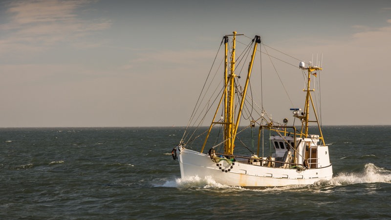 Ein Fischkutter fährt auf offener See.