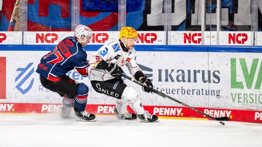 Pinguins-Kapitän Jan Urbas führt den Puck am Schläger.