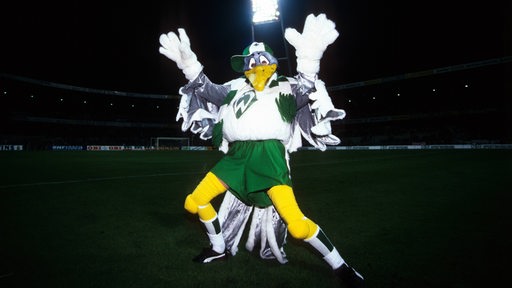 Werder-Maskottchen "Werdi", eine Möwe mit Trikot und Baseballmütze winkt im Stadion in die Kamera.