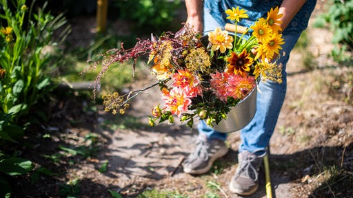 Eine Person hält in einem Garten eine Topf mit Blumen