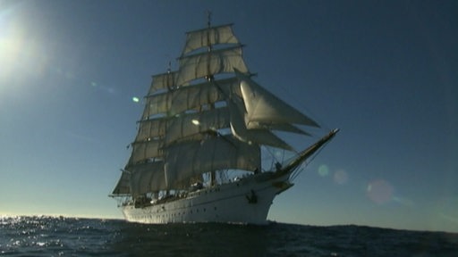 Die Gorch Fock auf See.