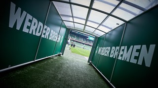 Blick aus dem Spielertunnel ins Weser-Stadion.