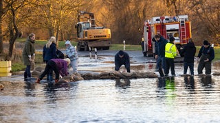 Mehrere Menschen schichten Sandsäcke auf einer überfluteten Straße. Im Hintergrund stehen ein Traktor und ein Feuerwehrfahrzeug.