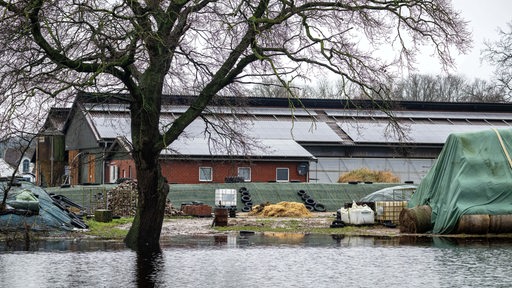 Das Hochwasser hat im bremer Ortsteil Timmersloh einen landwirtschaftlichen Betrieb erreicht.