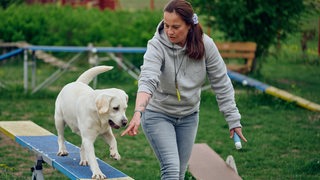 Eine Frau führt einen Hund über ein Brett.