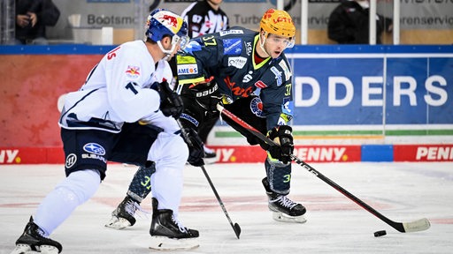 Zwei Eishockey-Spieler bei einem Spiel.