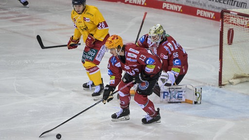 Die Pinguins in der Partie gegen Düsseldorf.