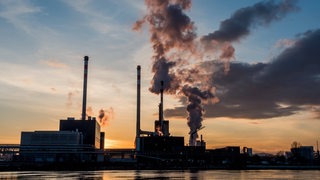 Industriegelände am Wasser mit rauchenden Schornsteinen