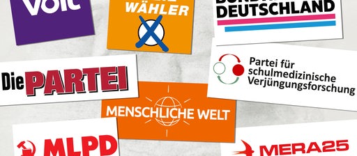 Collage zeigt die Logos von Kleinparteien, die zur Bundestagswahl 2025 antreten