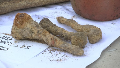 Drei ausgegrabene Eisennägel vom Werftplatz der Bremer Kogge.