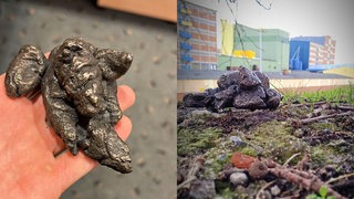 Aus Bronze hergestellte Kothaufen eines Bremer Aktionskünstlers. Collage