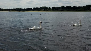 Zu sehen ist der Kreuzdeich in Borgfeld.