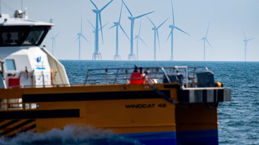 Windräder stehen im Meer. Davor ein Schiffskutter