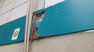 Aufgeplatzte Holzverkleidung in einer Turnhalle
