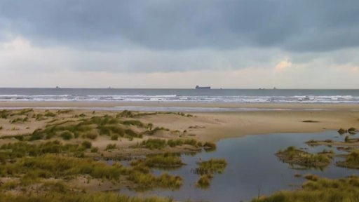 Es ist ein Strand und das Meer an der Nordsee zu sehen. In der Ferne erkennt man ein großes Schiff.