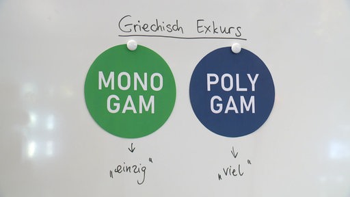 Auf einem Sideboard wird der Ursprung der Wörter "Monogam" und Polygam" dargestellt.