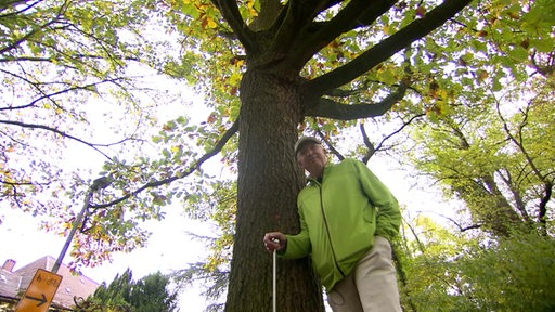 Der Baumgutachter Andreas Block Daniel steht am Fuße eines großen Baumes