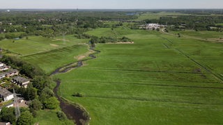 Ein Fluss windet sich in der Rohrniederung durch eine Wiesenlandschaft. Im Hintergrund ist dichter Wald zu sehen.