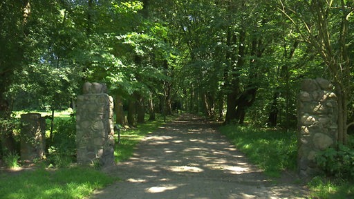 Zwei Steinsäulen flankieren im Vordergrund einen Weg, dahinter eine Allee.