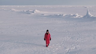 Eine Person im roten Schneeanzug geht alleine durch eine von Schnee und Eis bedeckte Landschaft.