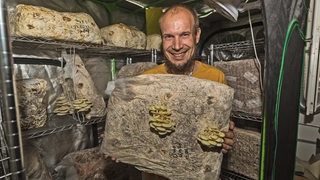 Ein Pilzzüchter zeigt stolz seine Zucht