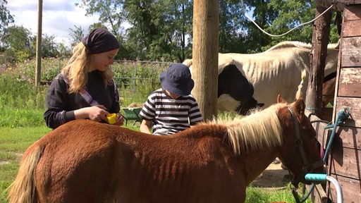 Eine Frau und ein Kind spielen mit einem Pony im Ponyhof Verein. 