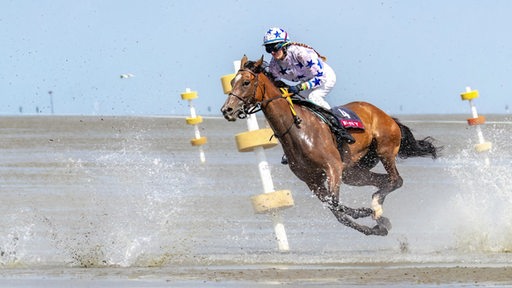 Melina Ehm beim Reitsport auf einem Pferd im Galopp