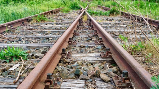 Pflanzen wachsen zwischen rostigen Bahngleisen.